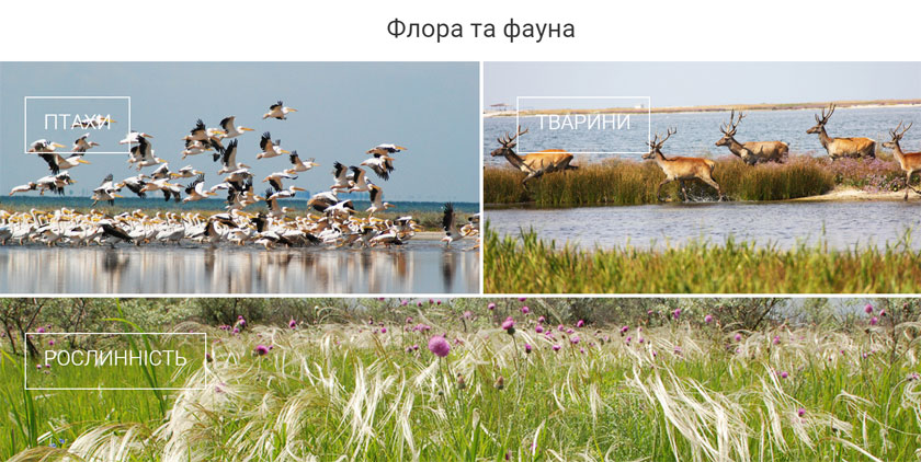 Googlegram: интерактивные туры по достопримечательностям и заповедникам Херсонщины-3