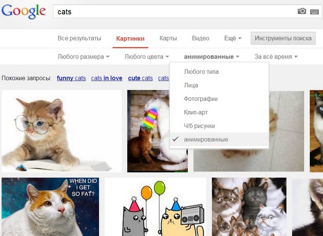 Google добавила поиск по анимированным GIF-картинкам Google добавила поиск по анимированным GIF-картинкам