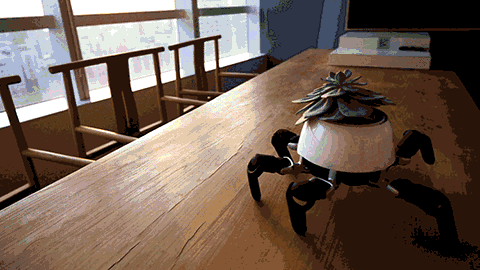 hexa-plant-on-the-sun-1.gif