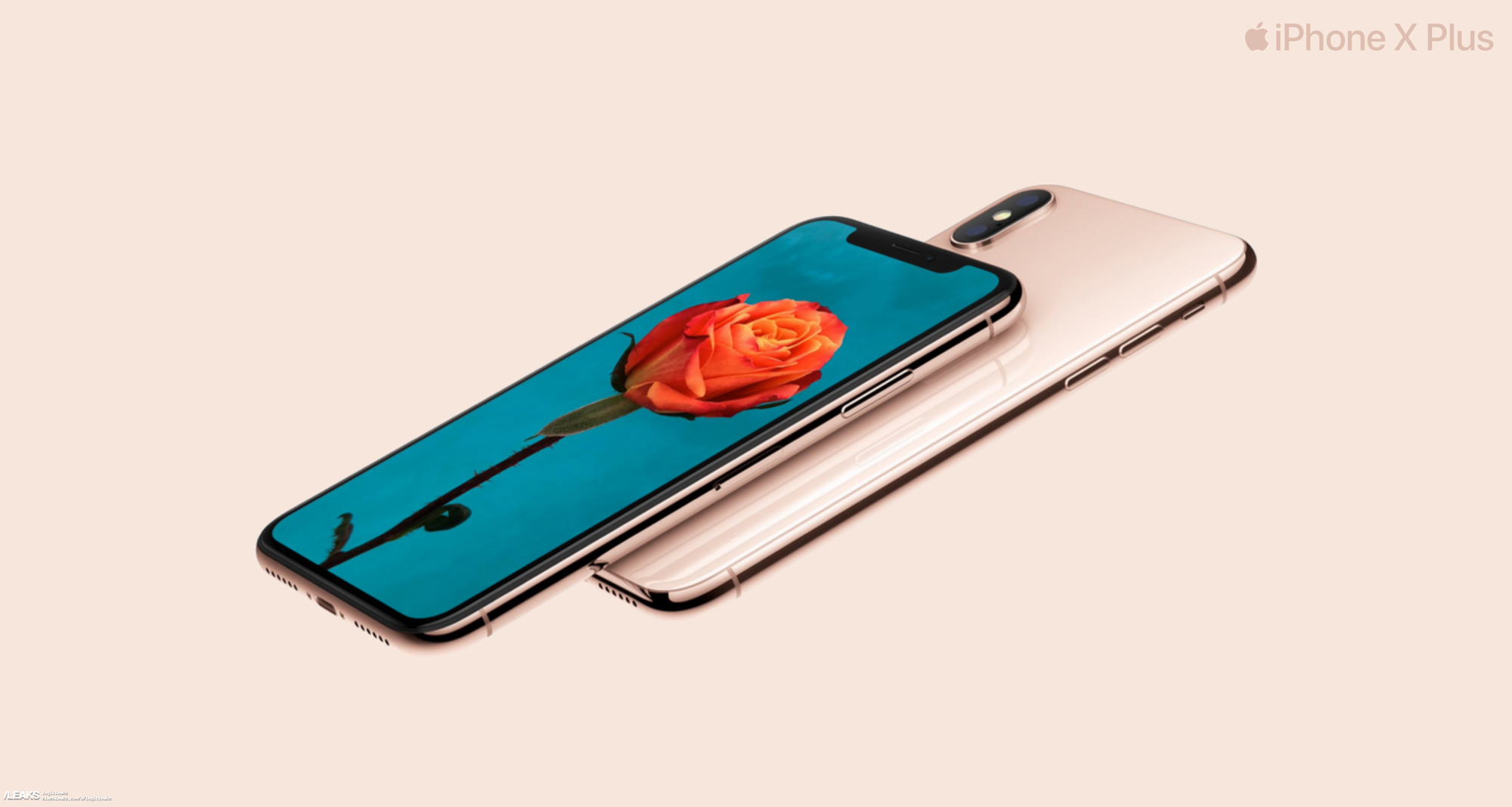 iPhone X Plus 1.png