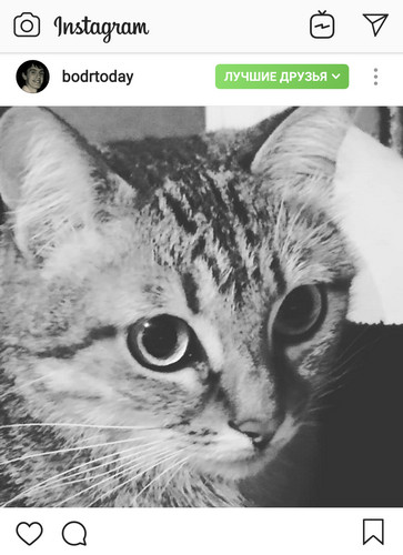 instagram-close-friends-feature-posts.jpg