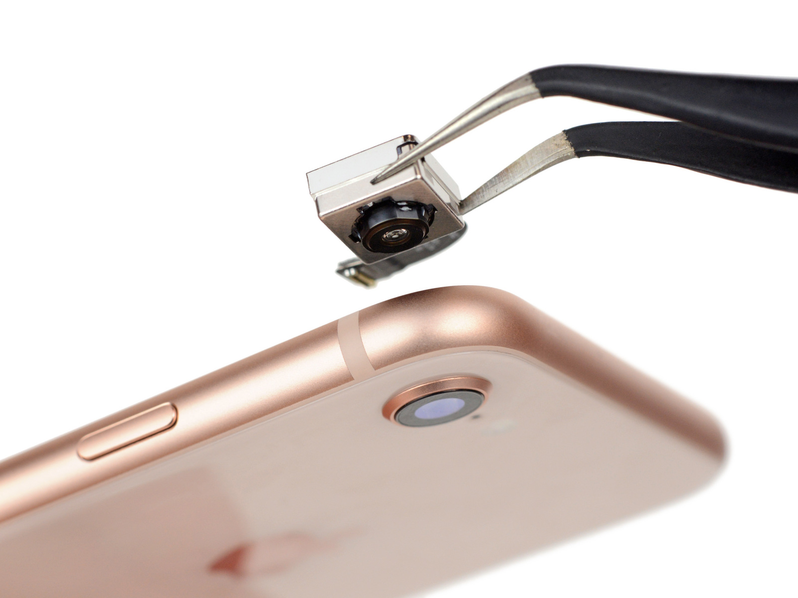iphone-ifixit-teardown-4.jpg