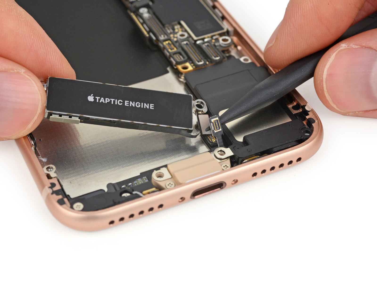 iphone-ifixit-teardown-5.jpg