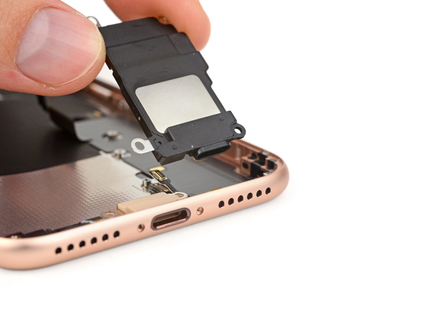iphone-ifixit-teardown-6.jpg