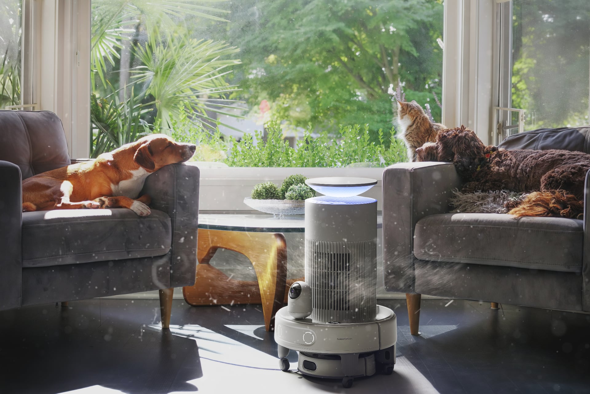 Air purification with the SwitchBot K20+ Pro. Illustration: SwitchBot