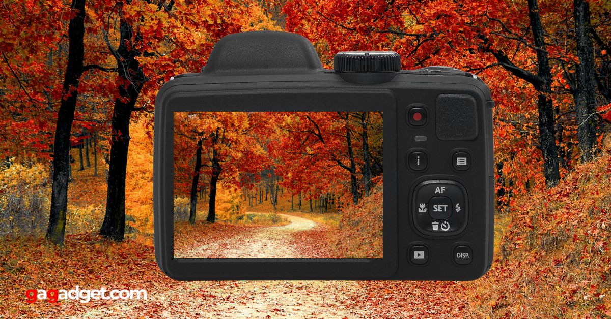 Best Cheap Cameras