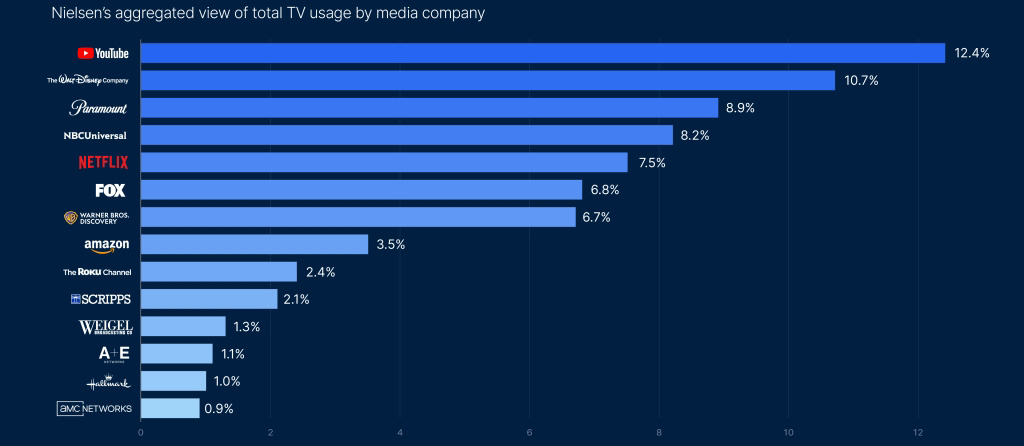 Доля медиакомпаний по времени проведённого аудиторией за просмотром TV 2024–2025