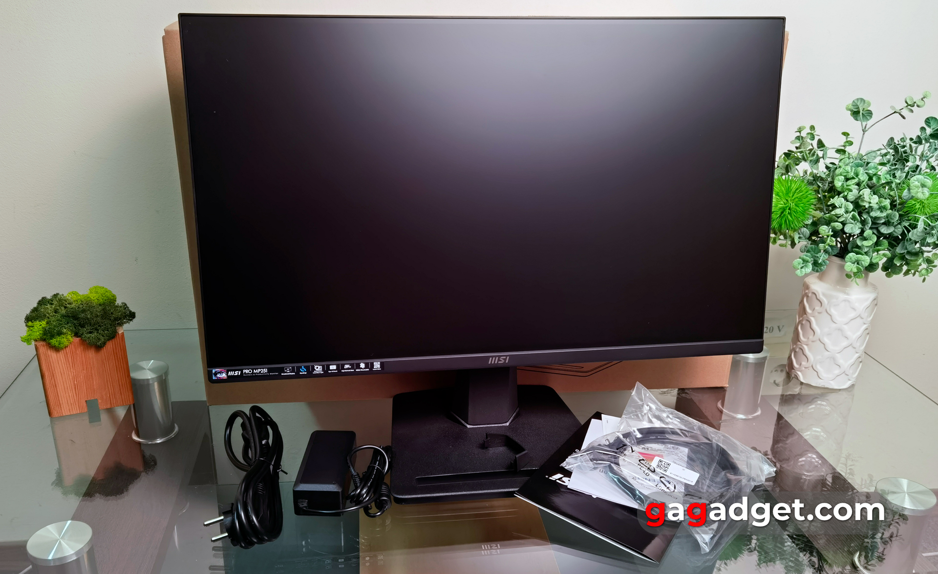 Огляд MSI PRO MP251