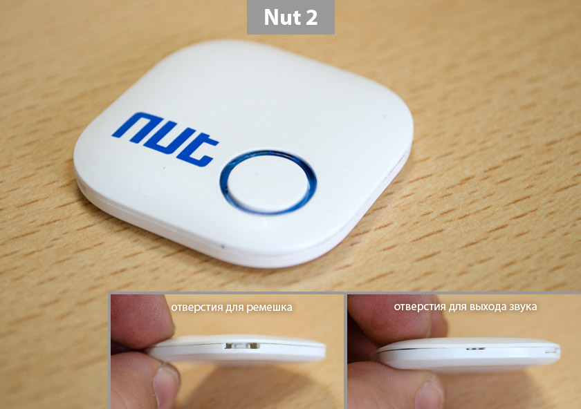 nut-2_01.jpg