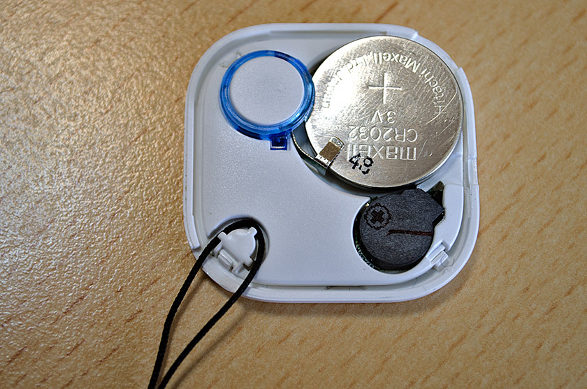 nut-2_03.jpg