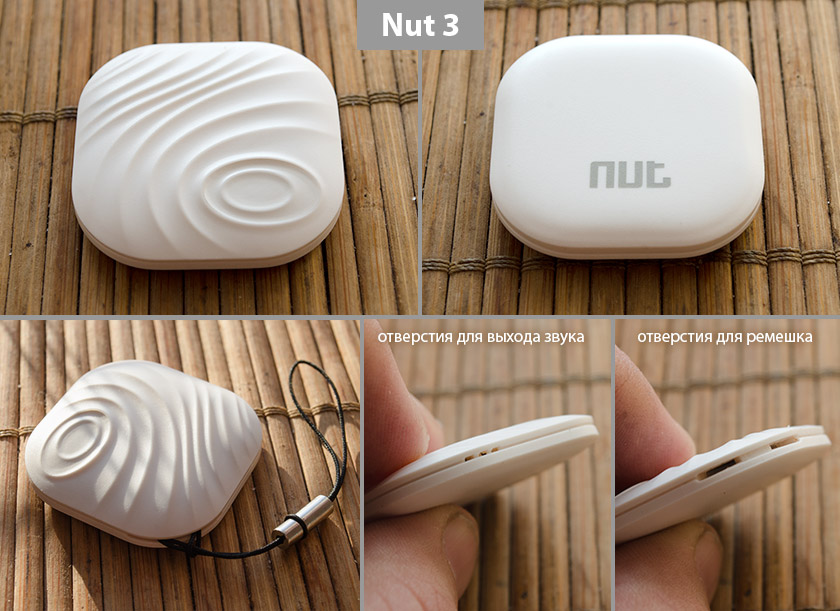 nut-3_01.jpg