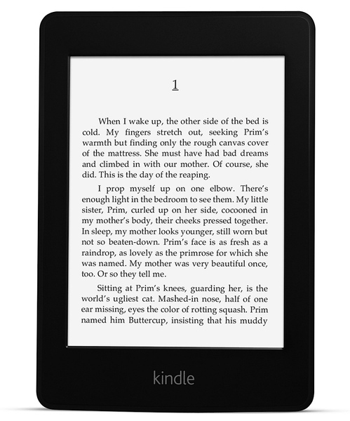 Что подарить на Новый год: электронные книги-2