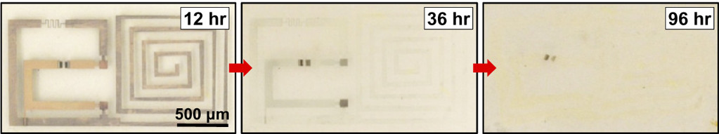 physically-transient-electronics.jpg