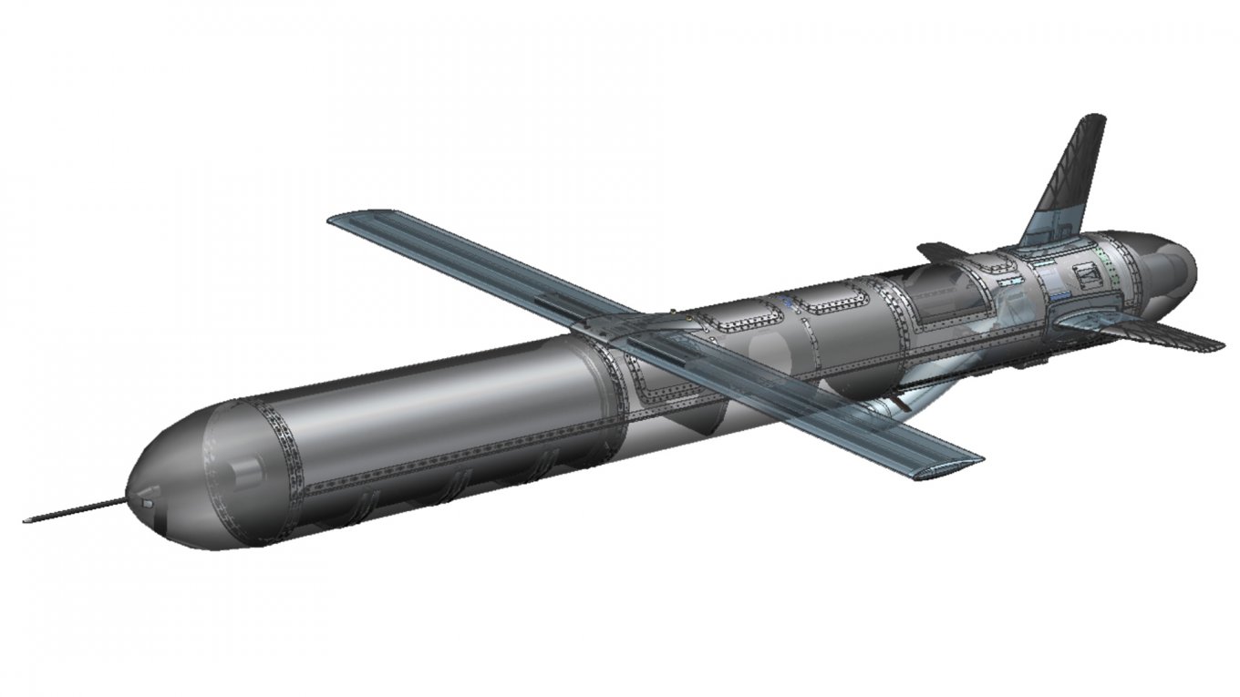 Le missile drone Ruta. Illustration : Destinus