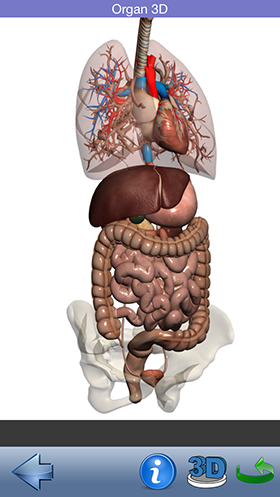 Скидки в App Store: aerofly FS, DataMan Next, Sky Live, Visual Anatomy.-12