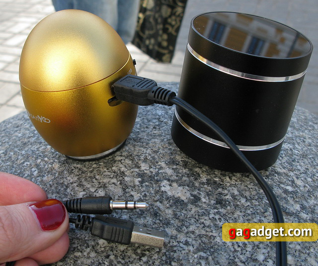 Парный обзор вибрирующих колонок Sanyoo D1BT и Sanyoo Egg