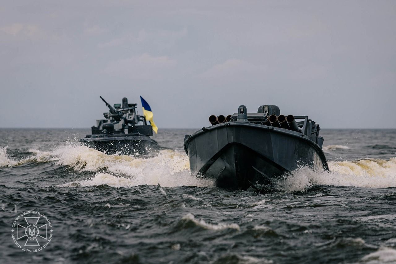 Image of Sea Baby without weapons