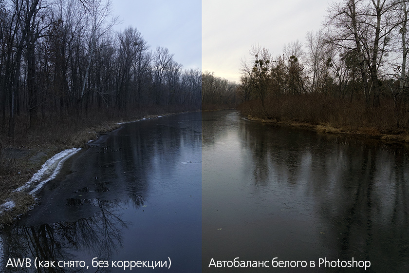 Обзор цифрового фотоаппарата Sony Alpha A77 II-32