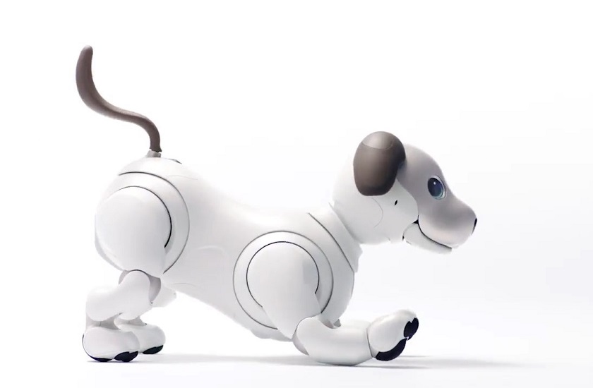 sony-aibo.jpg