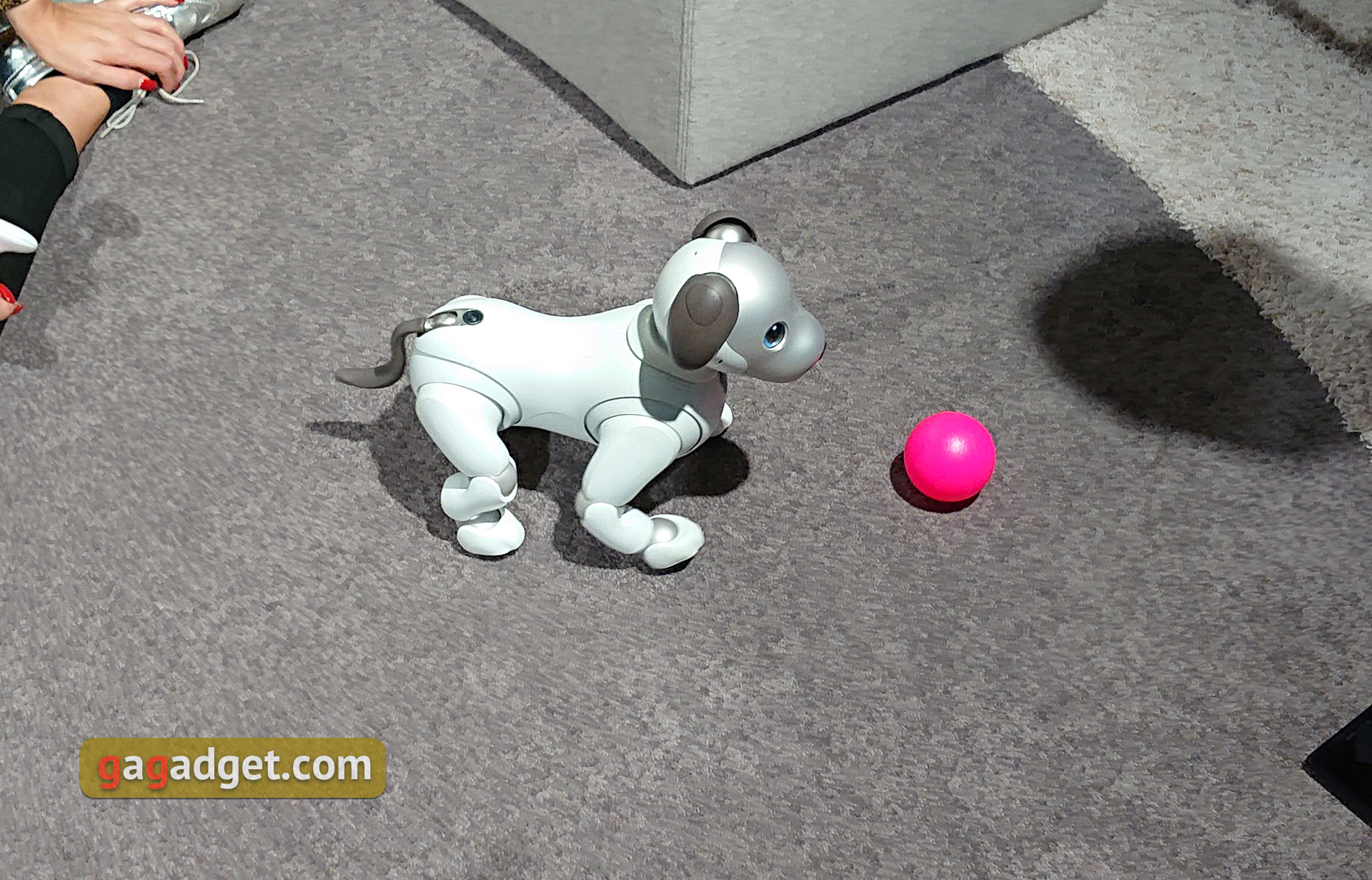 sony-ifa-2018-15.jpg