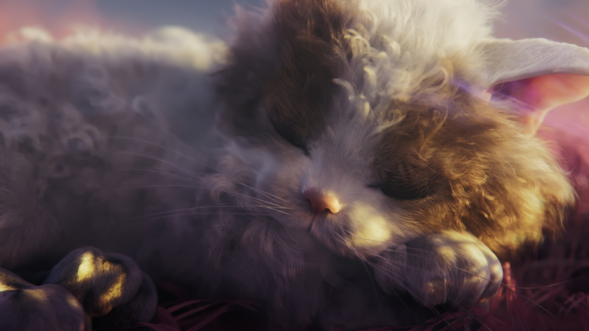 Les chats dans le monde psychédélique