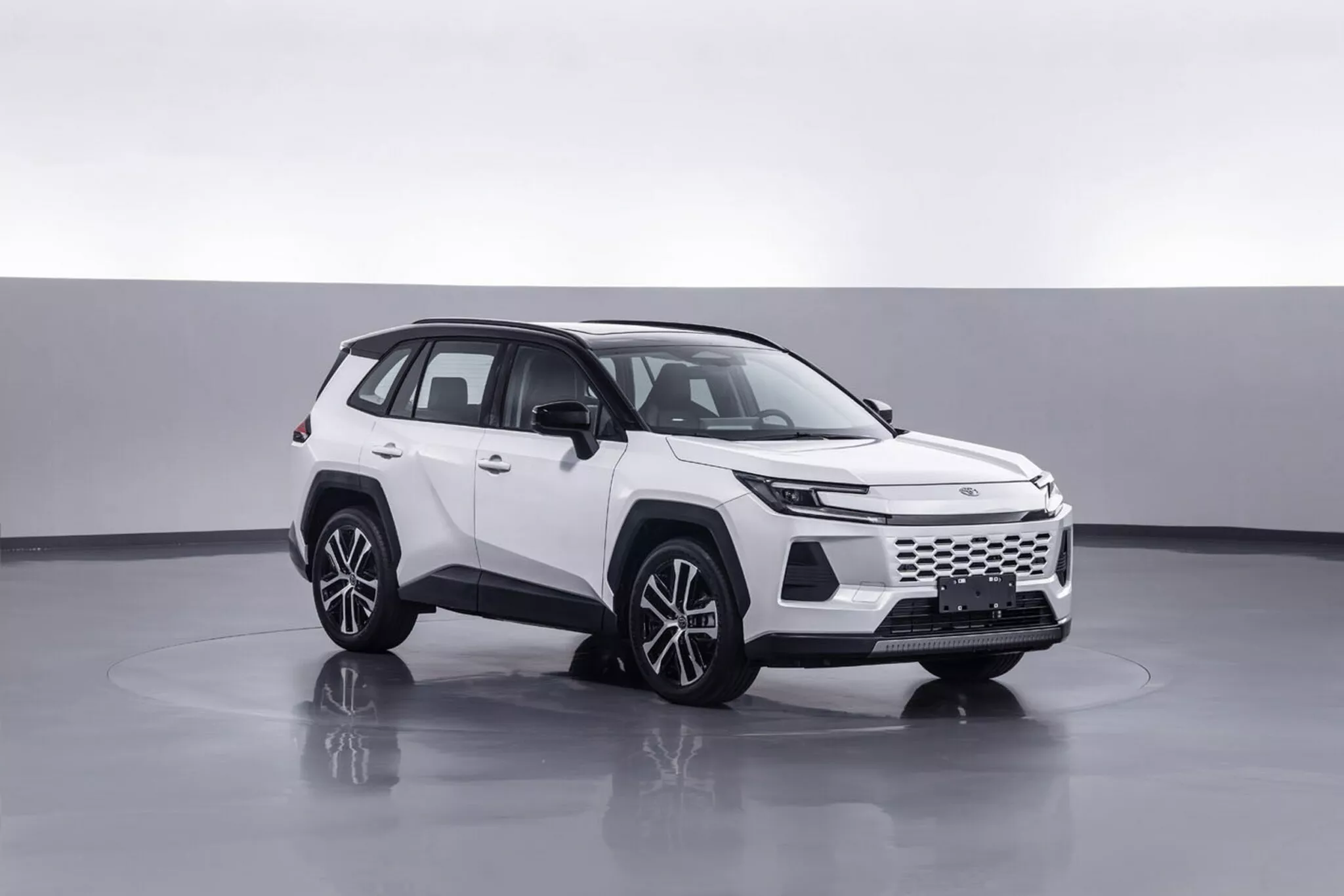 GAC Toyota Wildlander in the frame