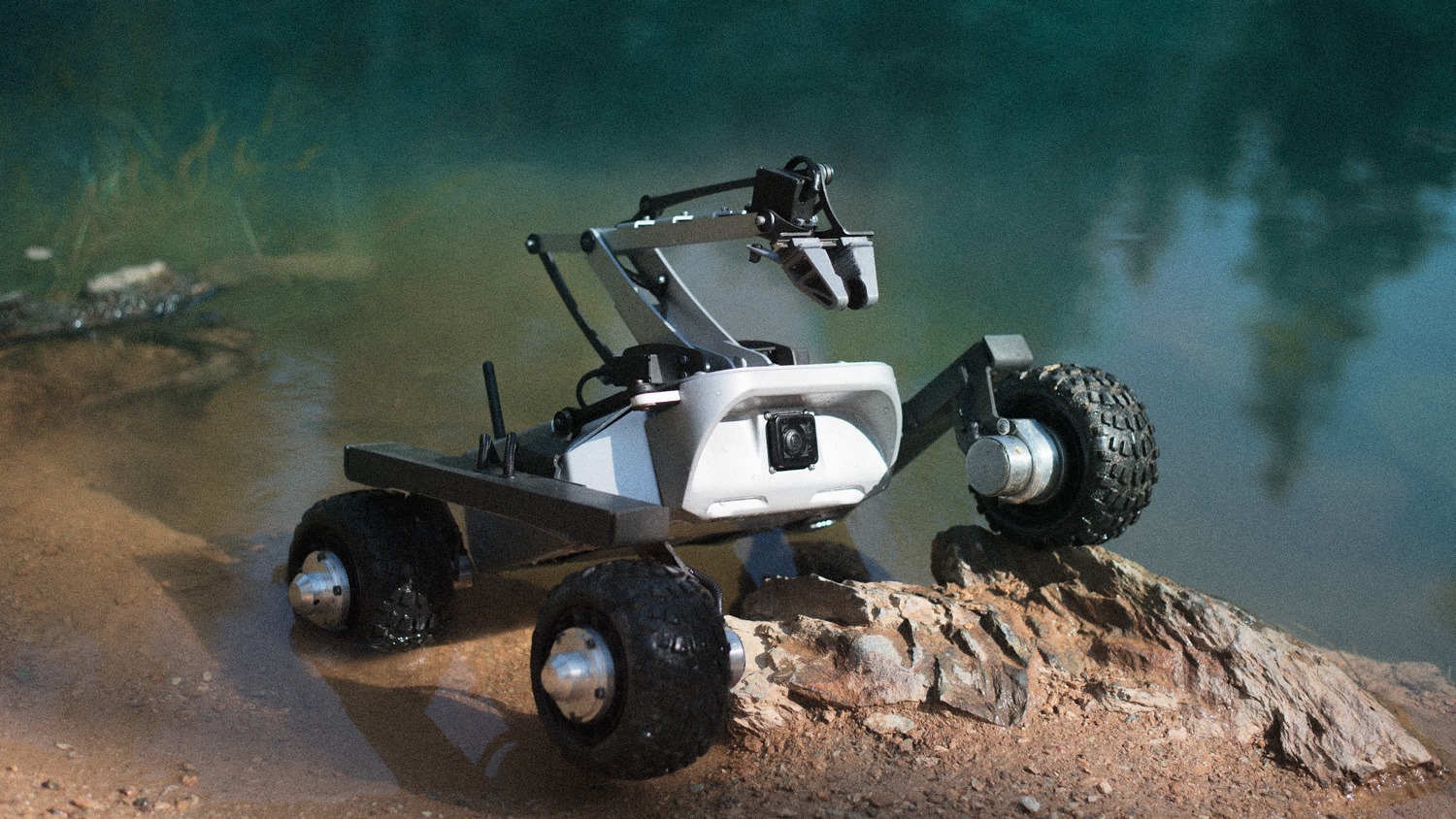 turtle-rover-1.jpg