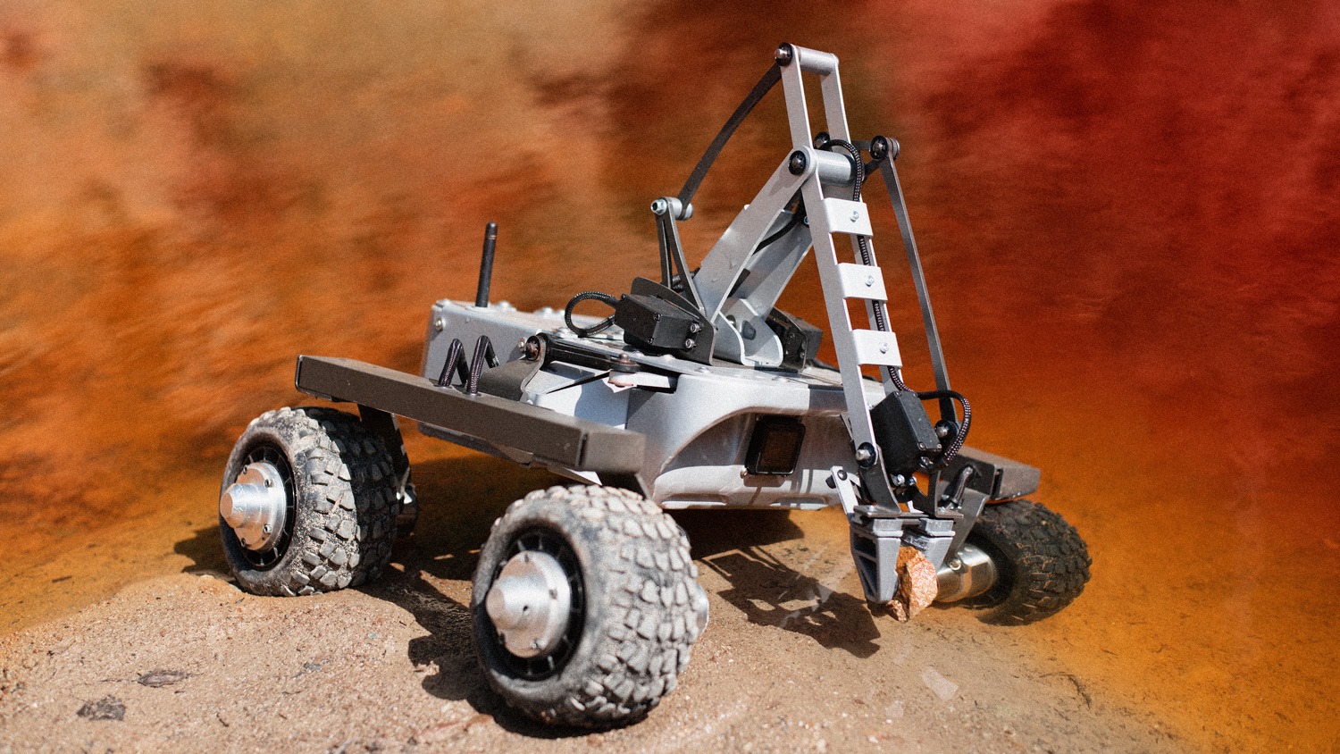 turtle-rover-2.jpg