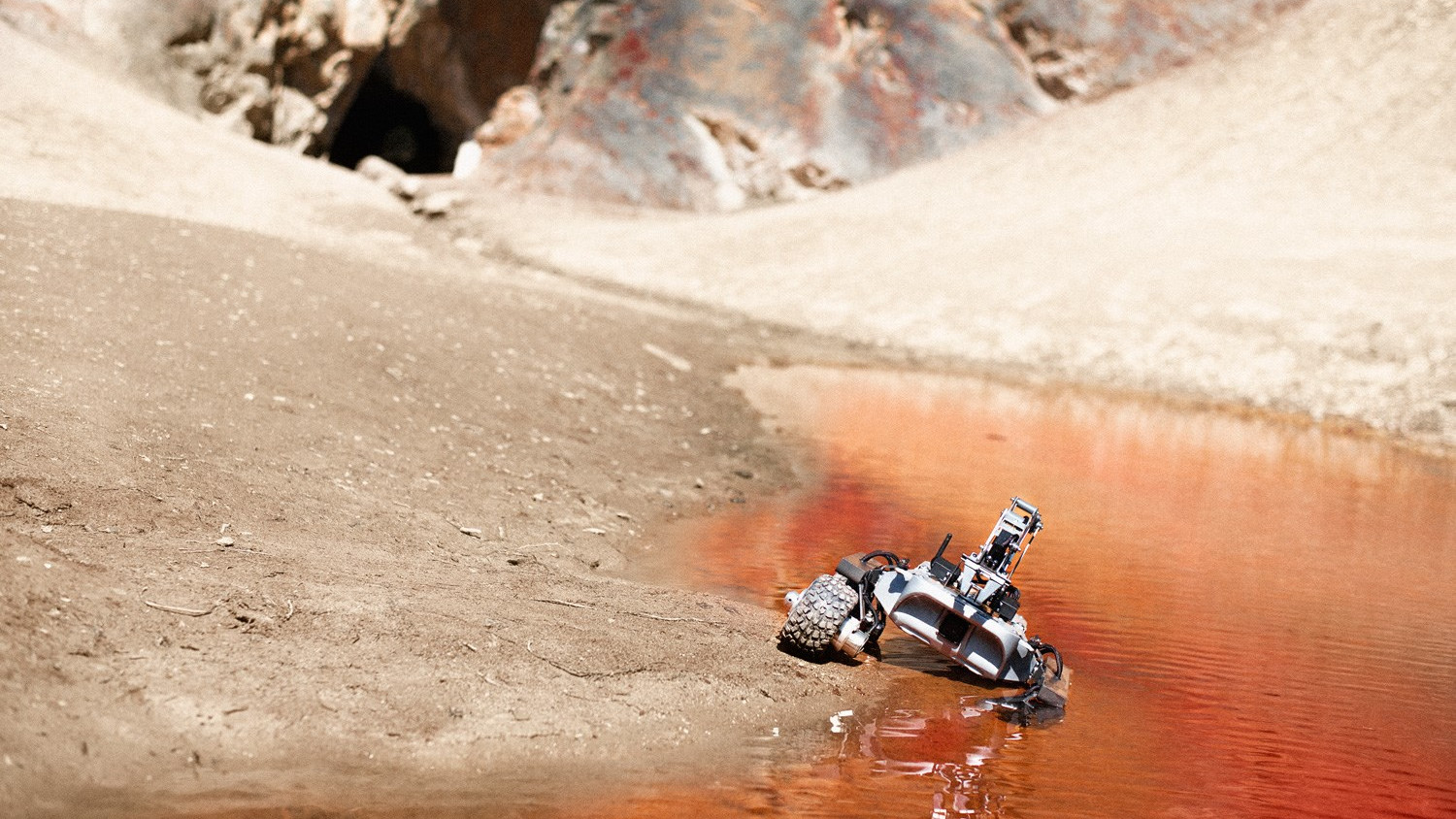 turtle-rover-3.jpg