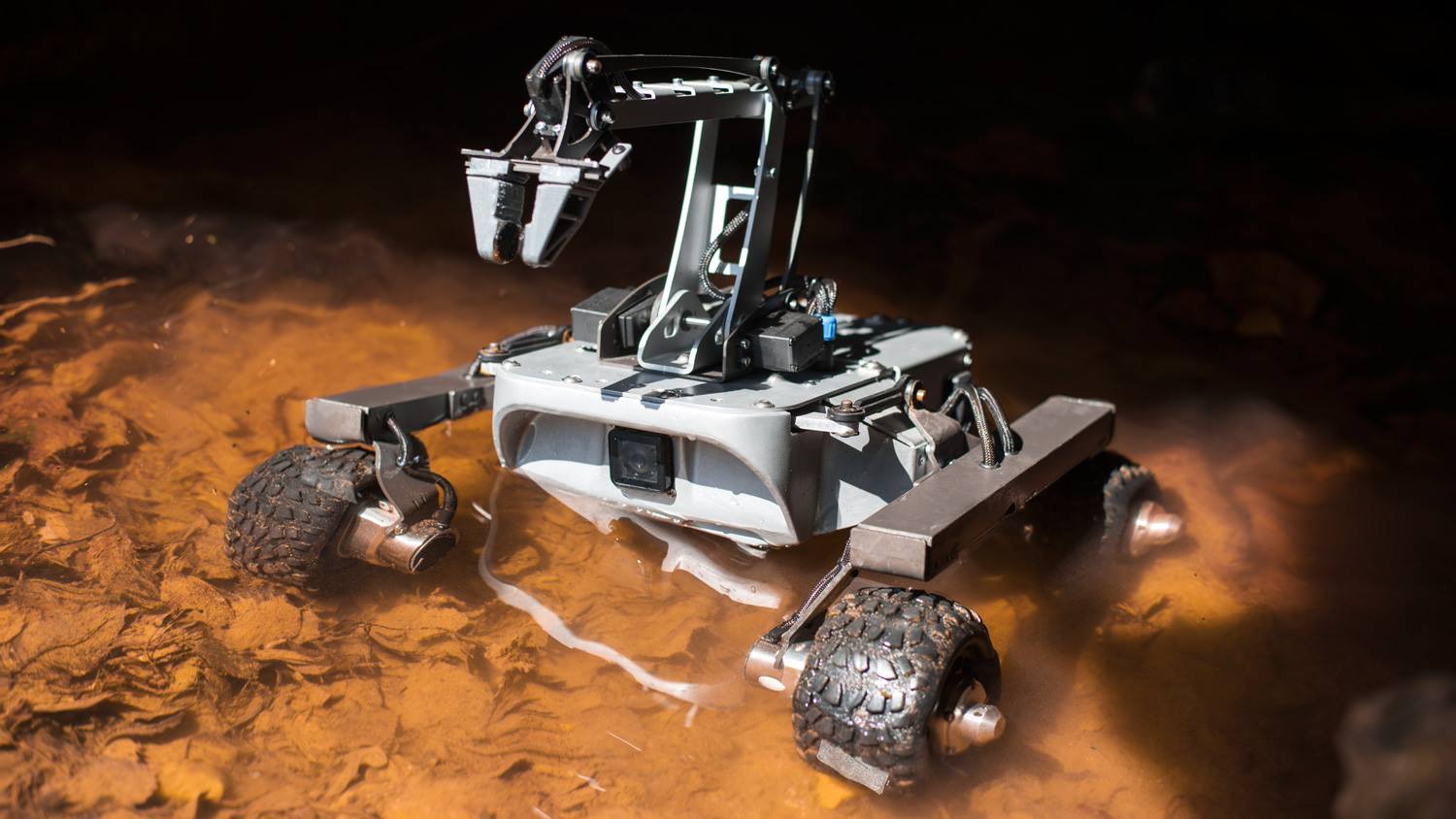 turtle-rover-5.jpg