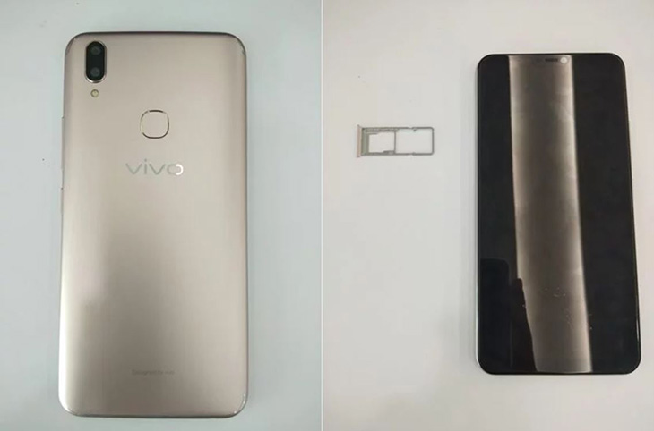 vivo2.JPG