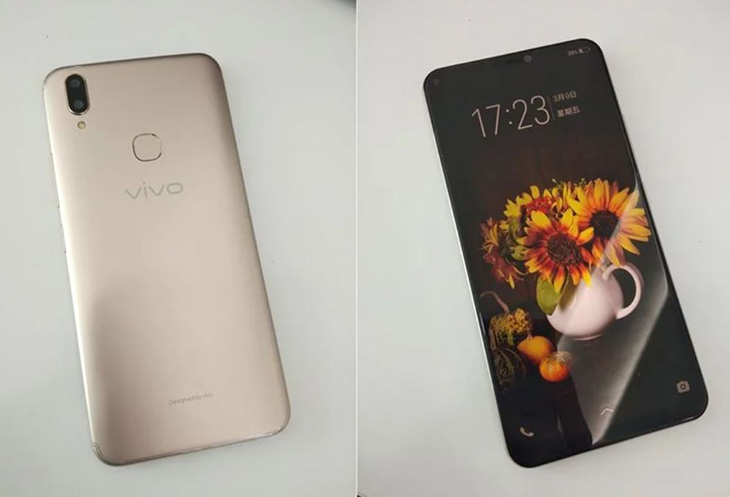 vivo3.JPG