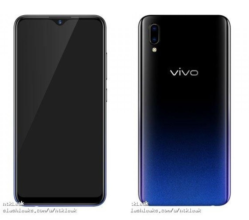 vivo.jpg