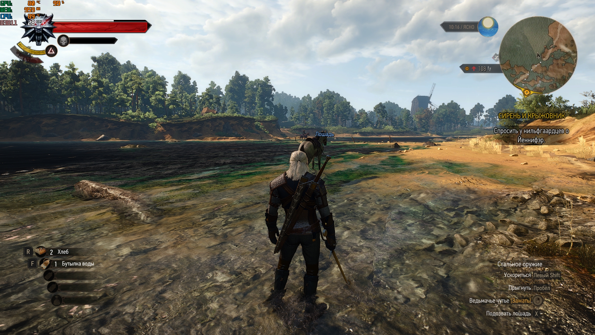 witcher3_2018_11_20_12_47_49_331.jpg
