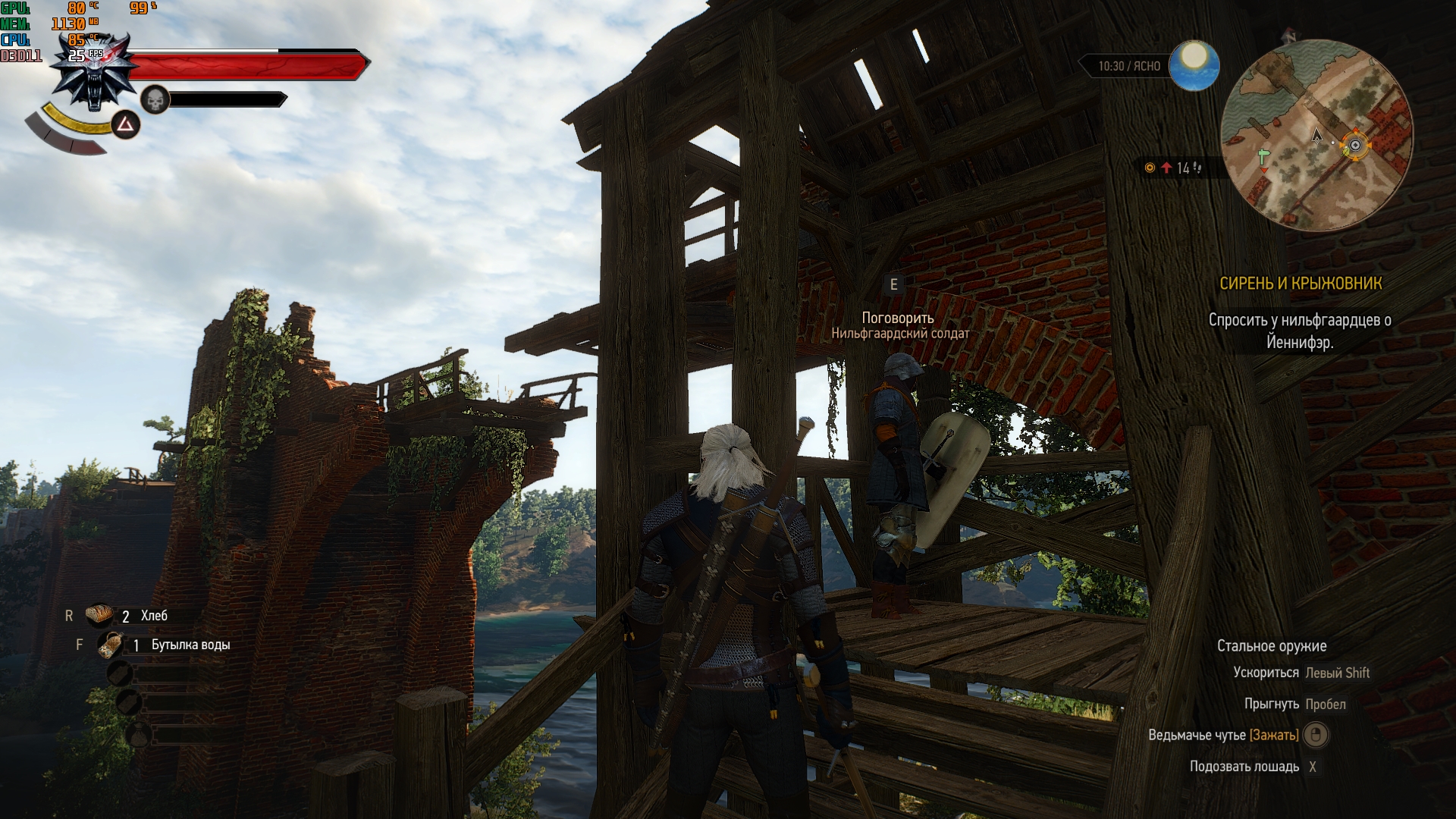 witcher3_2018_11_20_12_48_51_164.jpg