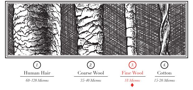 Wool&Prince: рубашка, позволяющая не стирать её 100 дней-2 Wool&Prince: рубашка, позволяющая не стирать её 100 дней-2