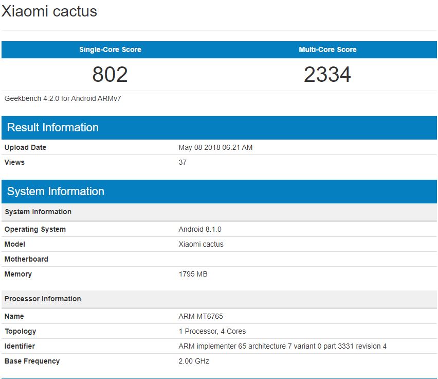 xiaomi cactus.JPG