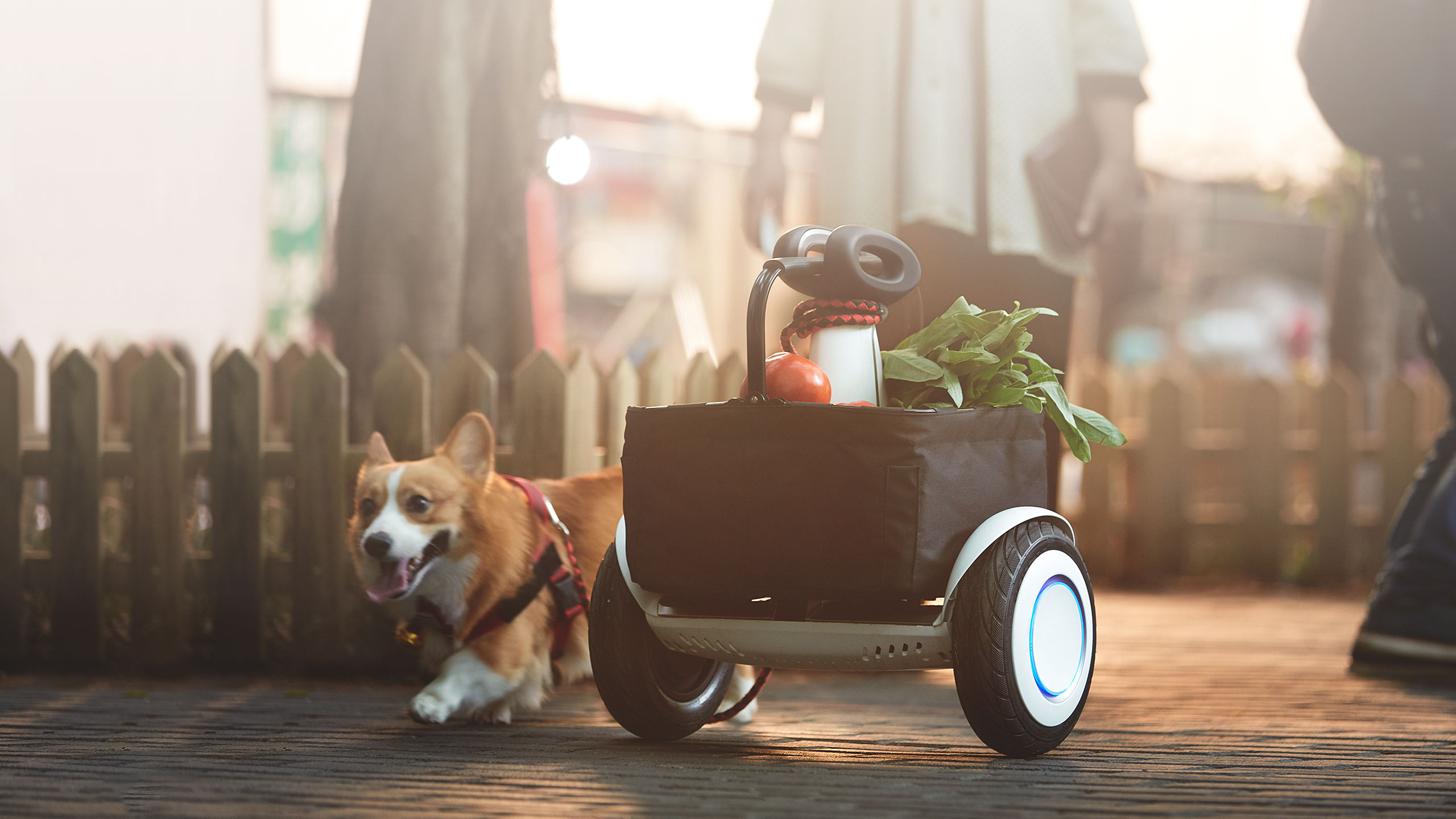 xiaomi-mi-ninebot-plus-8.jpg
