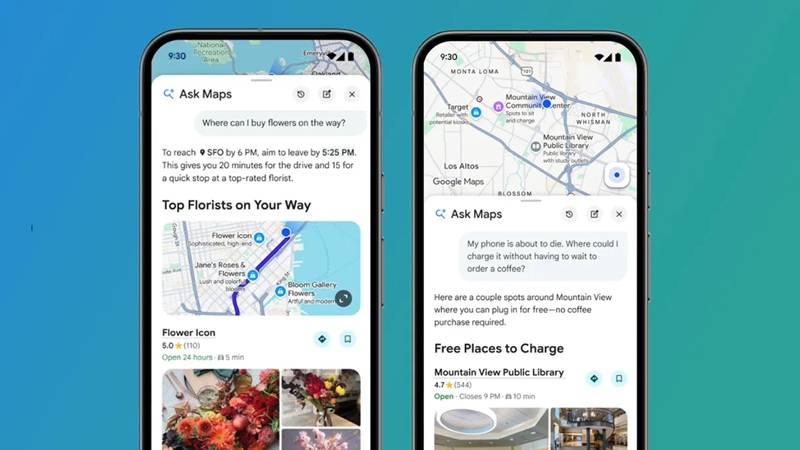 Ask Maps on Google Maps