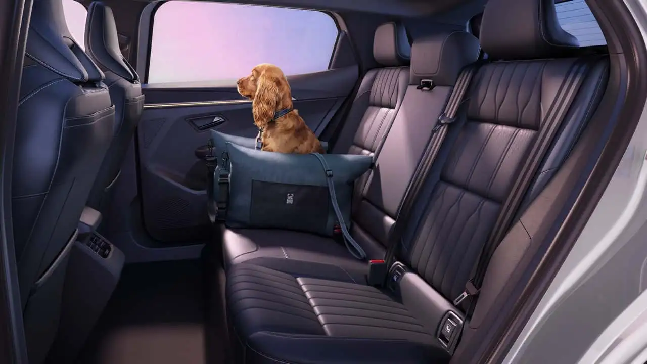 Renault Scenic E-Tech вигляд збоку