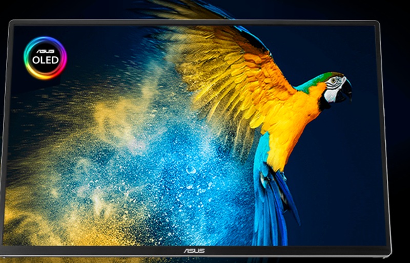 Le ZenScreen MQ16FC et son panneau OLED 16 pouces au format 16:10.
