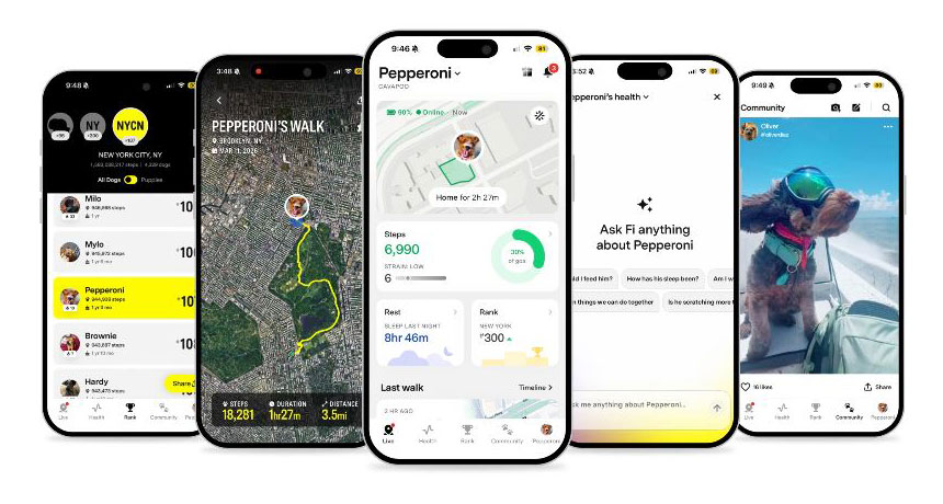 The Fi mobile app interface. Illustration: Fi