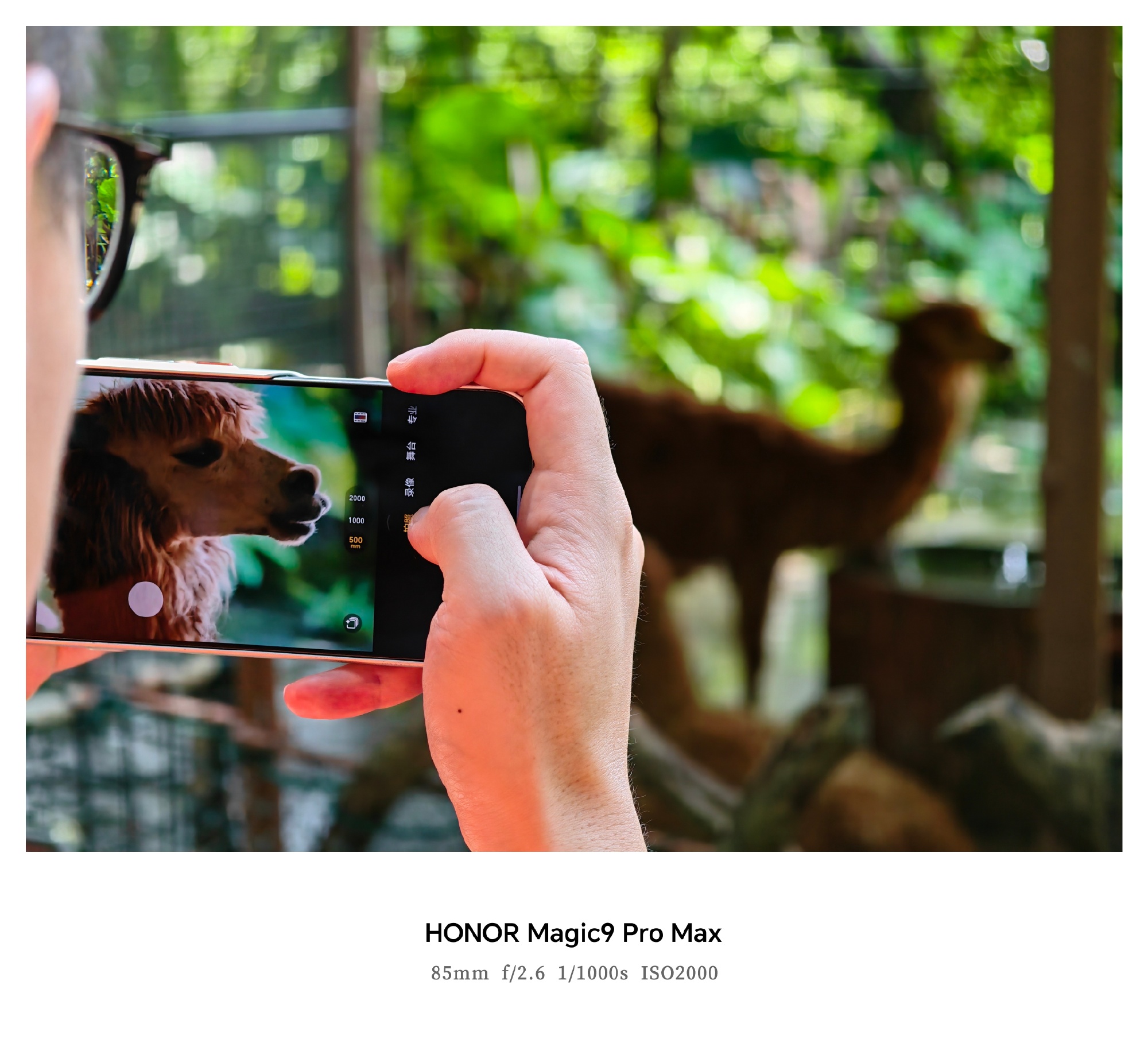 200-мегапіксельний сенсор Honor Magic 9 Pro Max