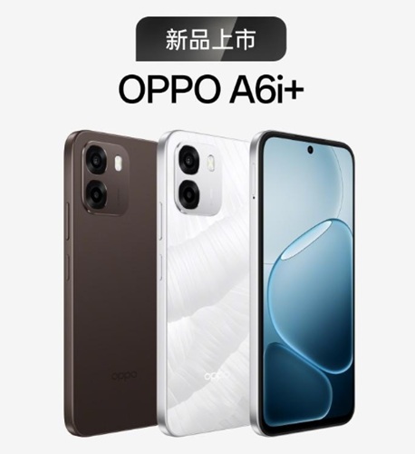 Oppo A6i+ IP69 protection level