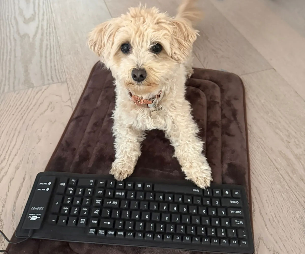 Momo та Claude Code: спільна розробка гри