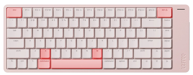 Le boîtier en aluminium anodisé reproduit la texture mate caractéristique du MacBook Neo.