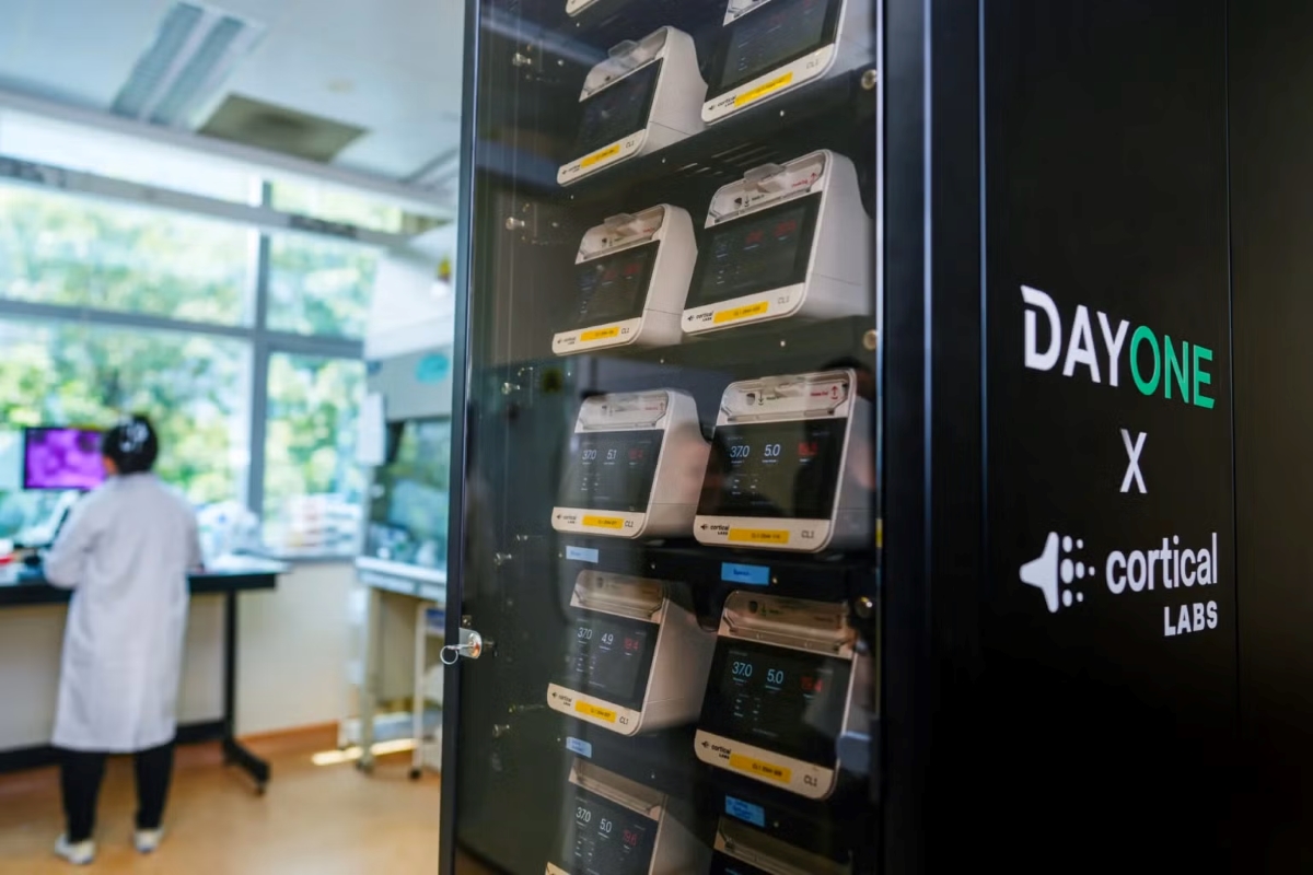 Прототип біологічного обчислювального центру DayOne і Cortical Labs від NUS