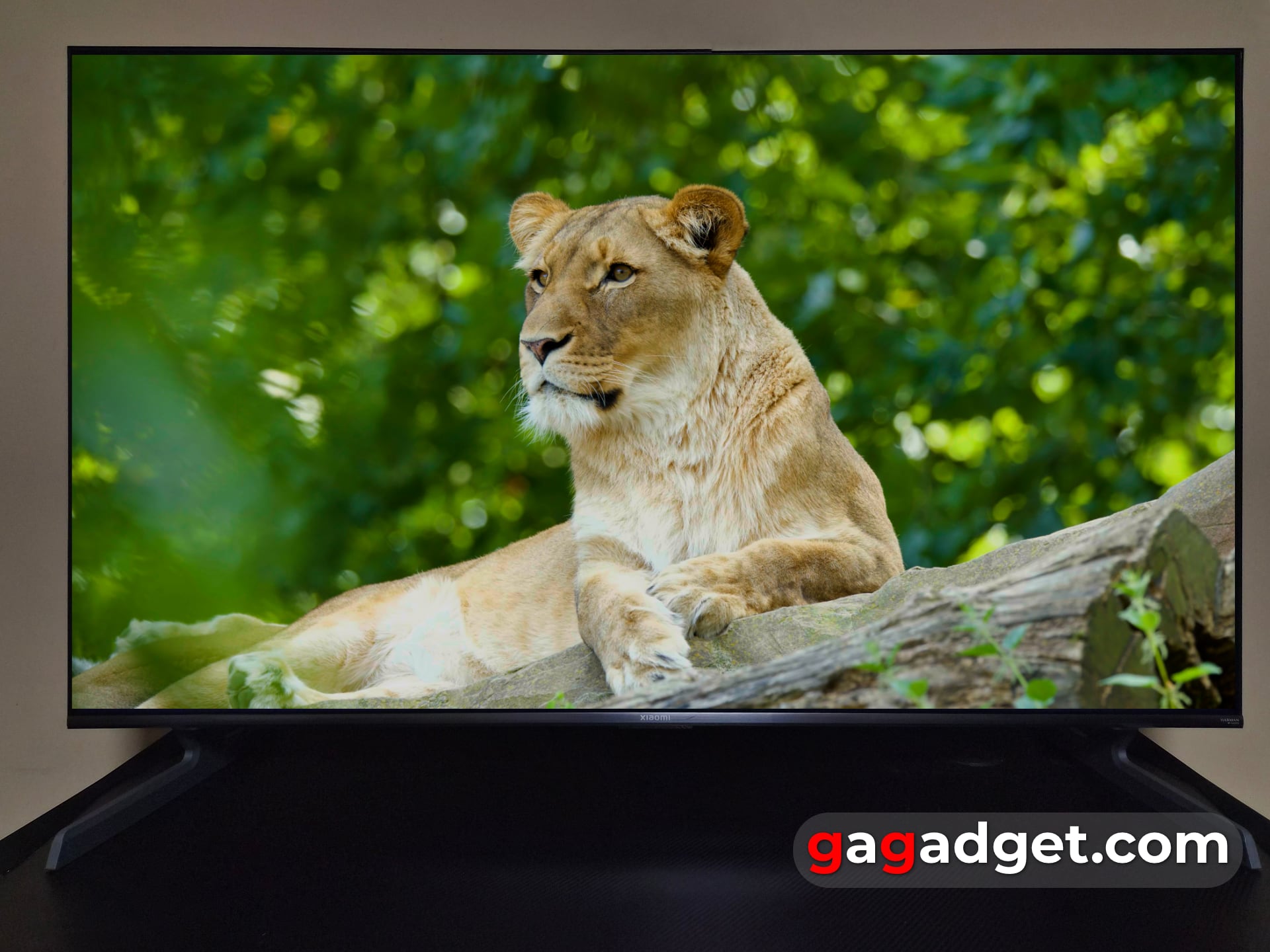 Для тех, кто знает чего хочет: обзор QLED-телевизора Xiaomi TV S Pro Mini LED 2026-40